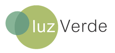 Luz Verde - Academia de Choferes