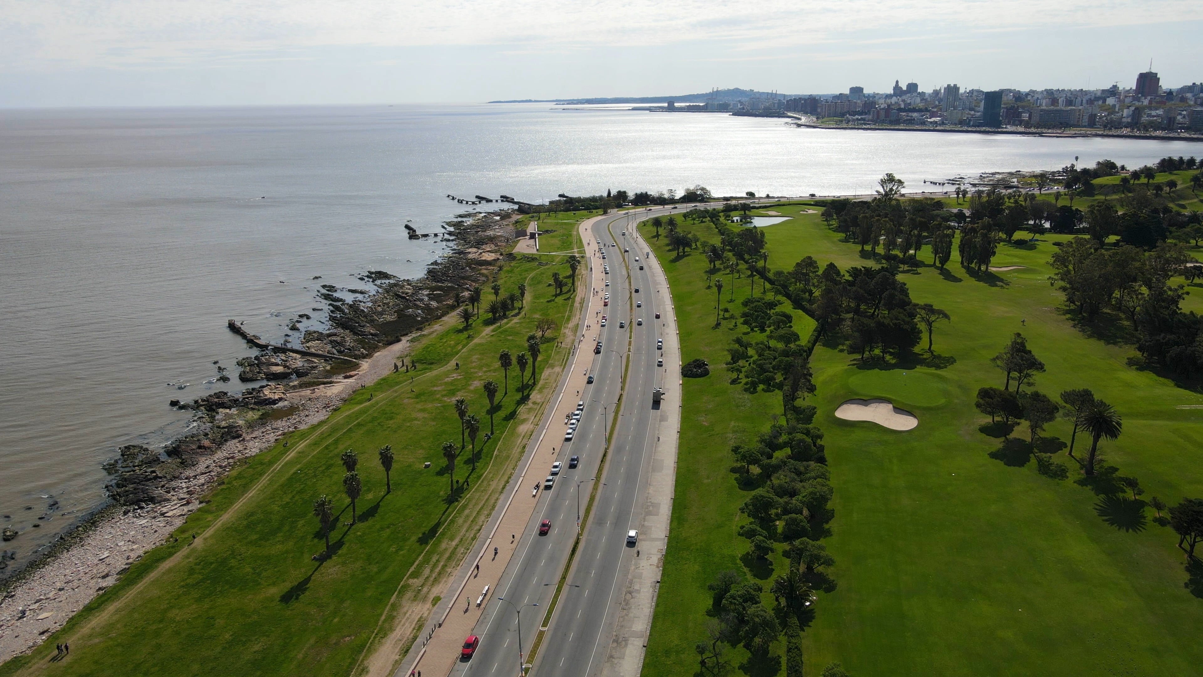 Fondo Luz Verde - Academia de Choferes